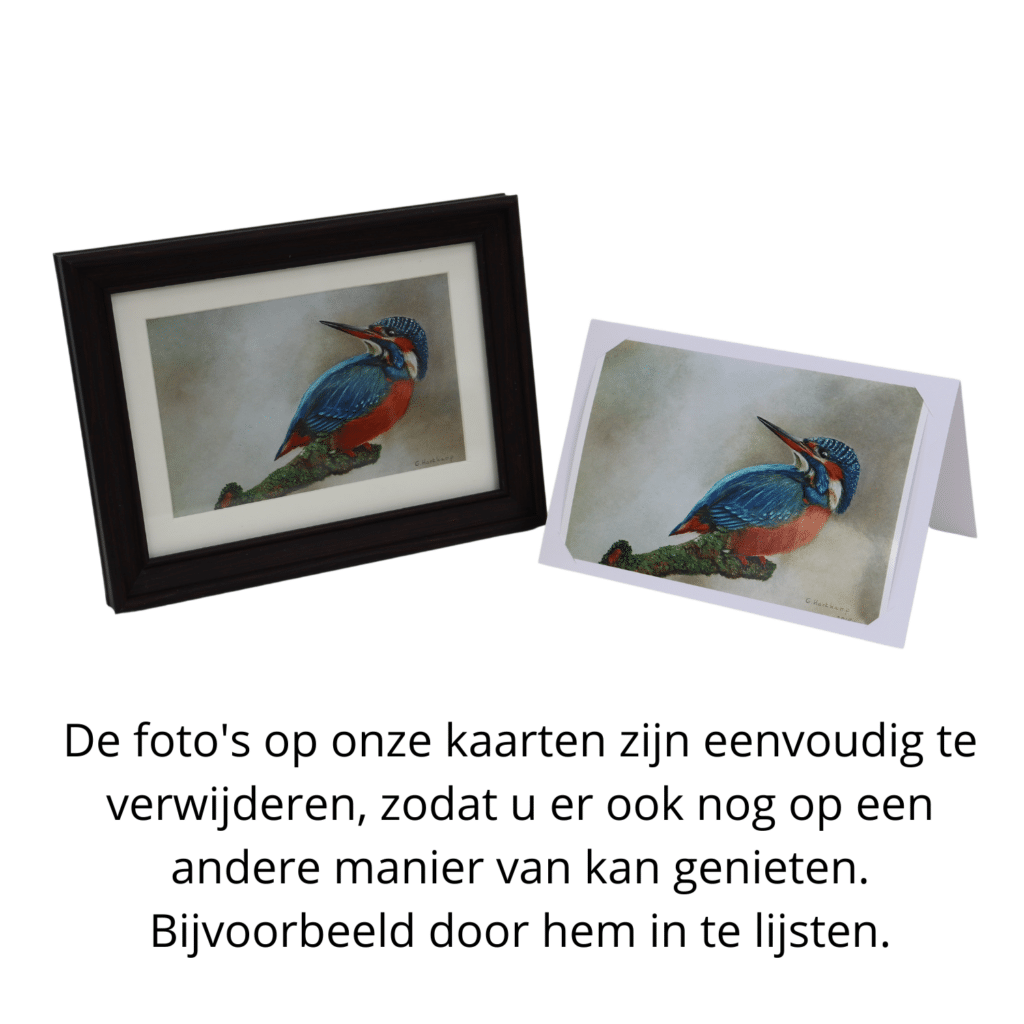 Kunstkaart 31