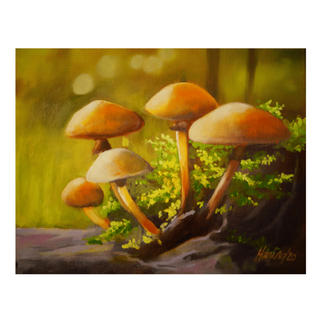 Kunstkaart 73