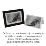 Kunstkaart 81 Gezegende Kerst