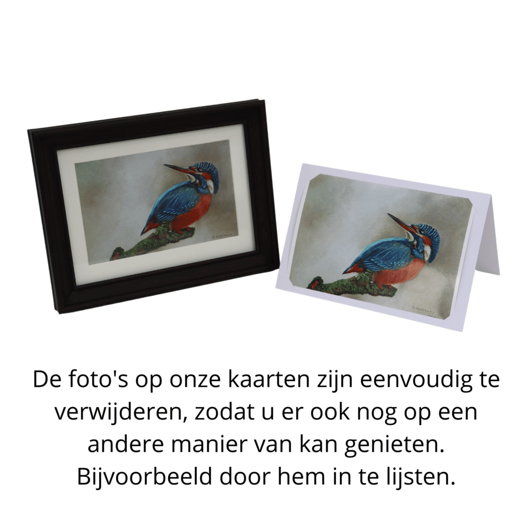 Kunstkaart 89
