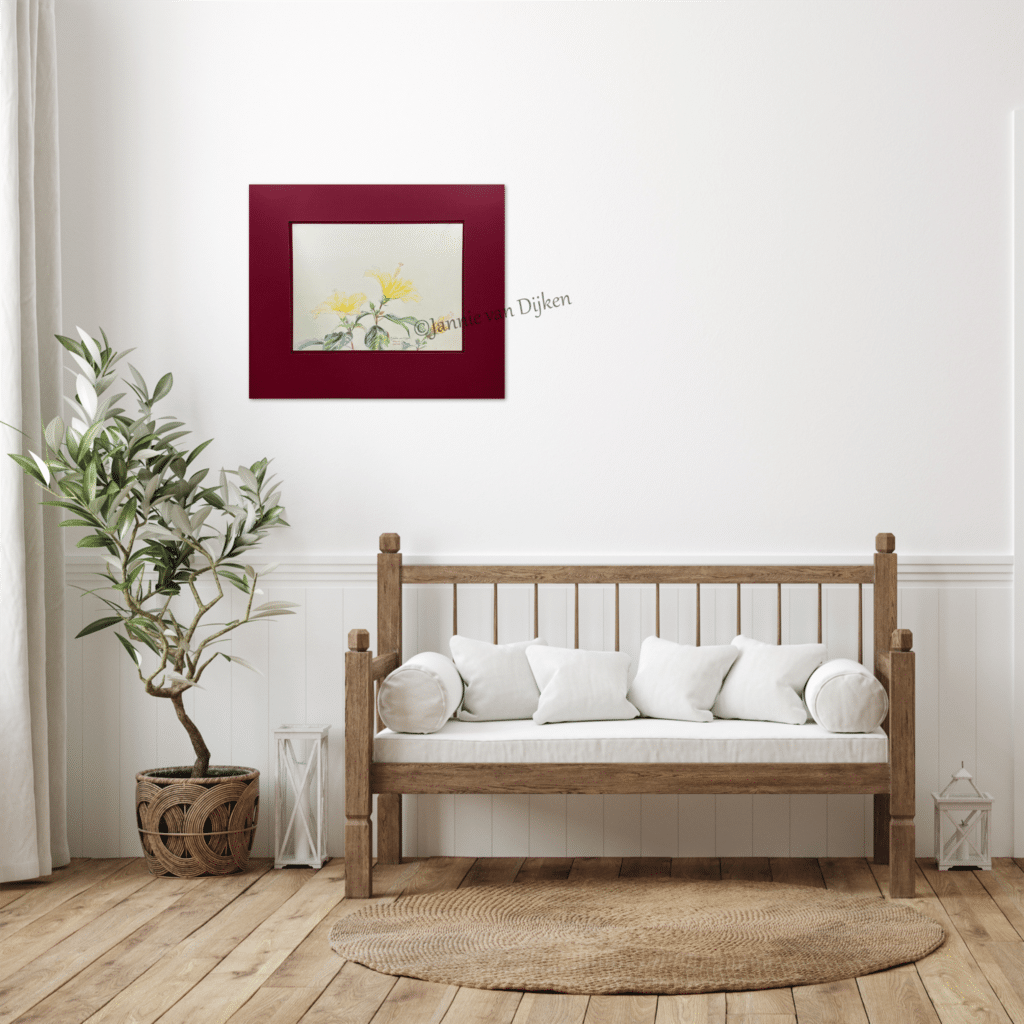 Hibiscus Startlet