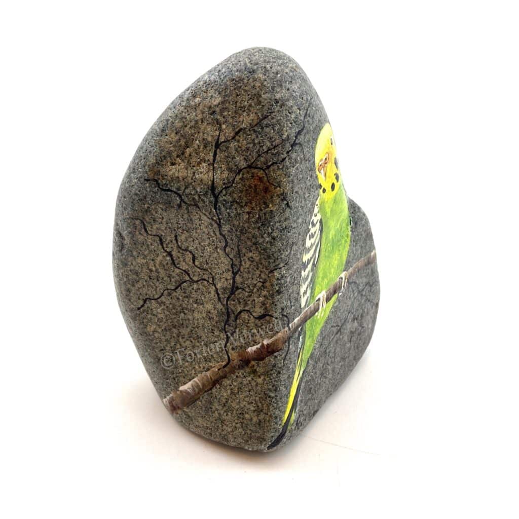 Grasparkiet