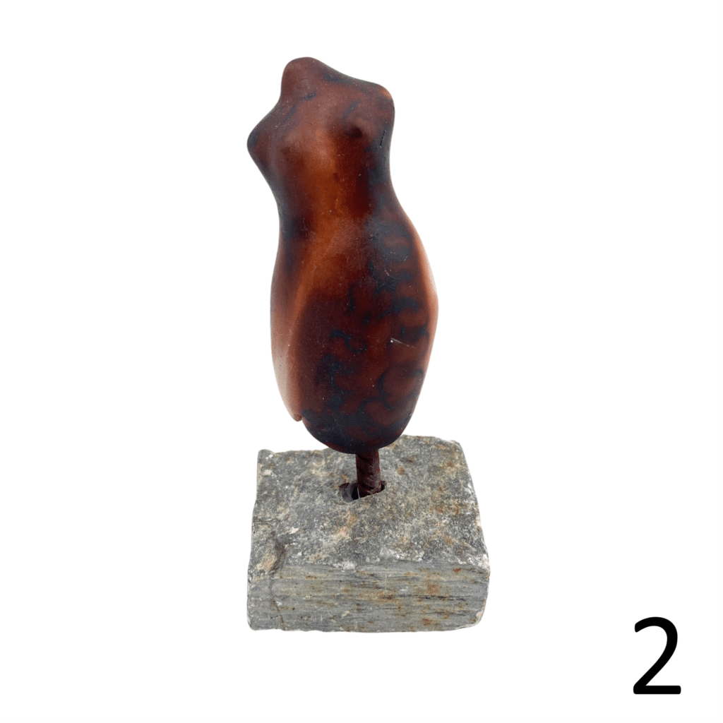 Torso