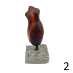 Torso