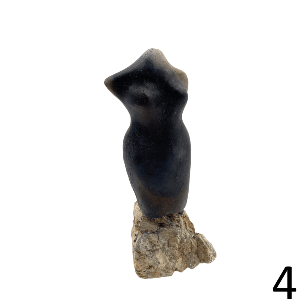 Torso