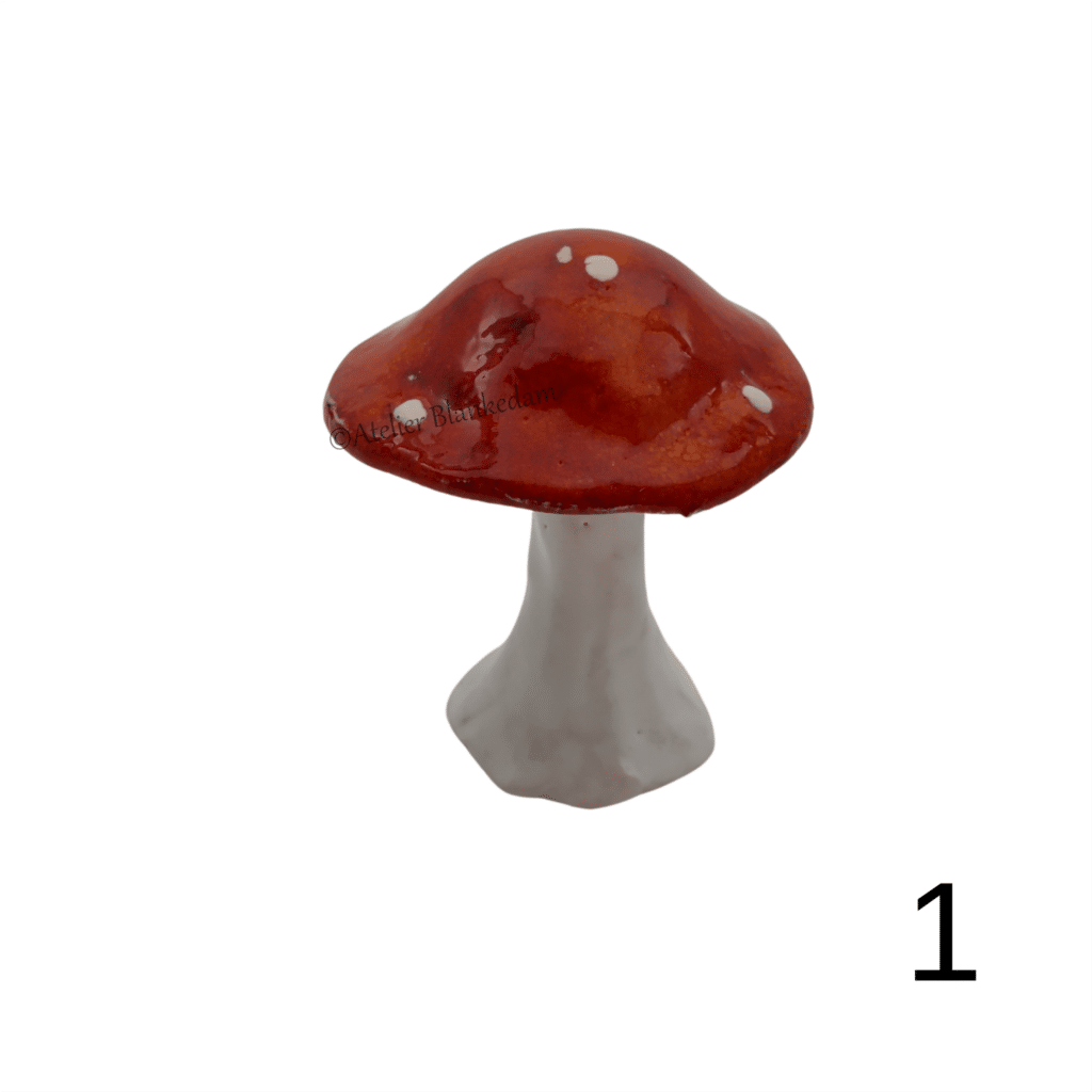 Paddenstoel