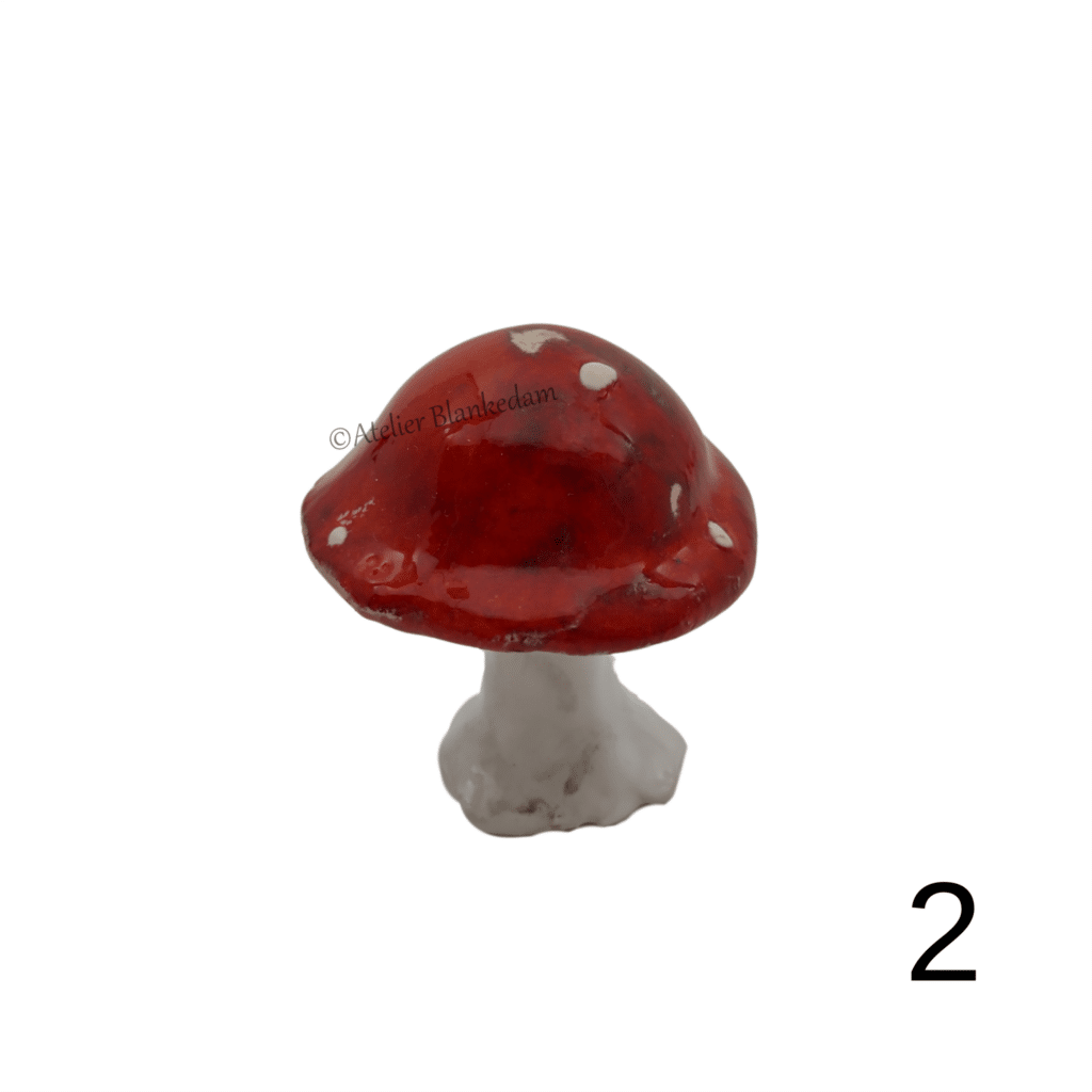 Paddenstoel