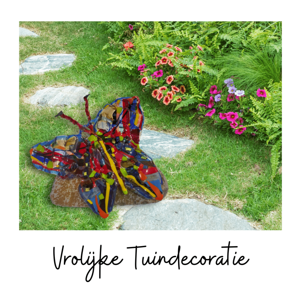 Vlinder op steen