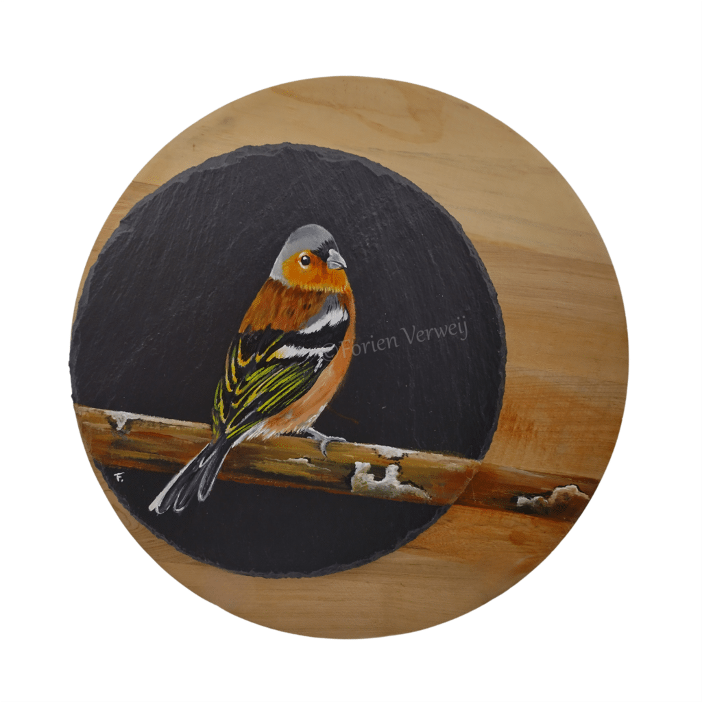 Wandbord met vinkje
