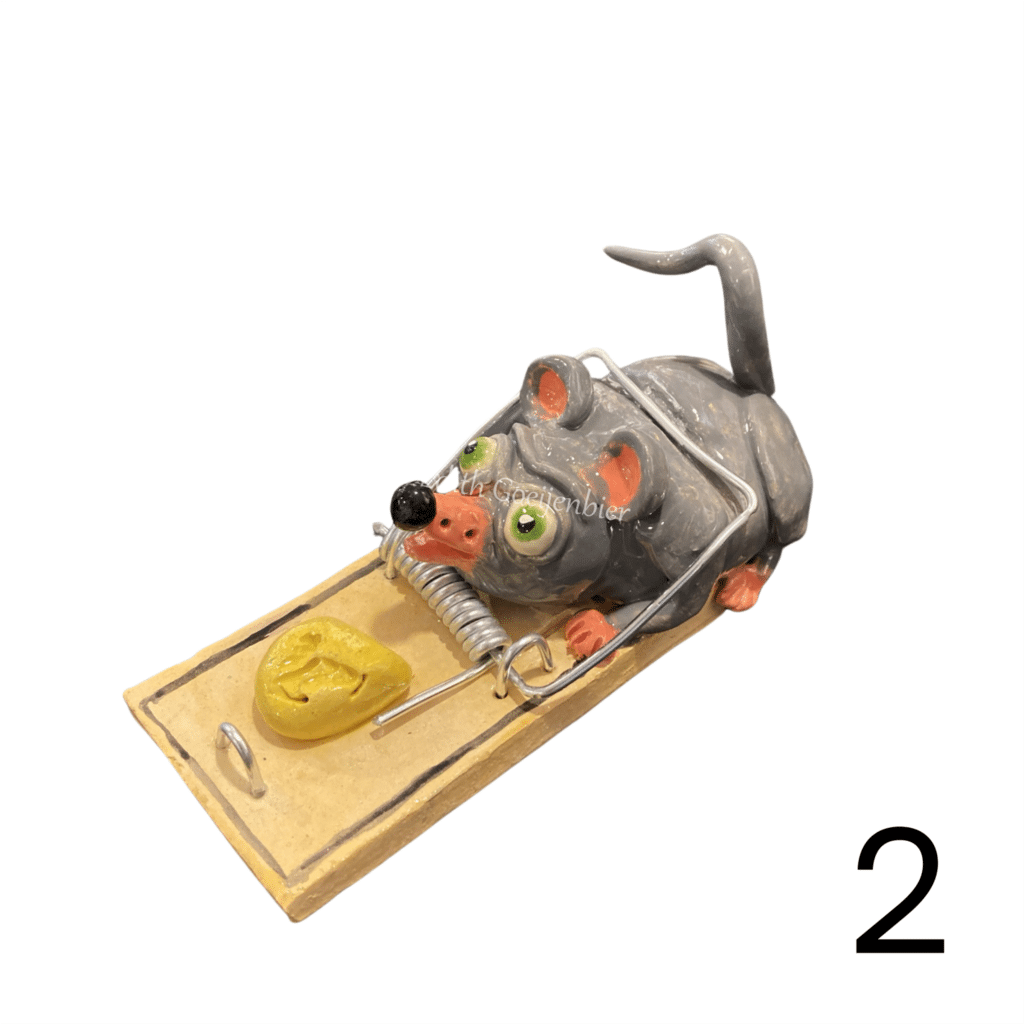 Muis