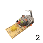 Muis