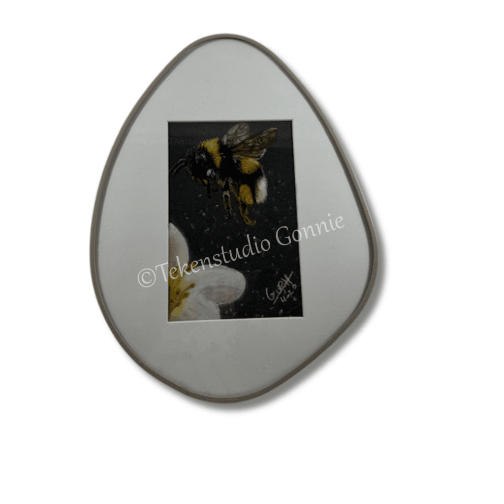 5709 Hommel 20 x 27 cm 49.50 (1) - handgemaakt door Tekenstudio Gonnie Geel zwart potlood tekening Ward's art