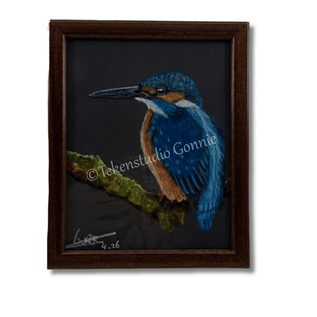 5713 IJsvogel 17 x 21 cm 79,50 - handgemaakt door Tekenstudio Gonnie blauw oranje tak wit Ward's art
