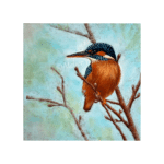 5783 IJsvogel 43 x 43 cm 250 - handgemaakt door Trinnette Korver van Atelier Trinette Pasteltekening