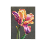 5784 Bloem met lieveheersbeestje 43 x 53 cm 300 - handgemaakt door Trinnette Korver van Atelier Trinette pasteltekening