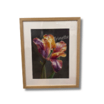 5784 Bloem met lieveheersbeestje 43 x 53 cm 300 - handgemaakt door Trinnette Korver van Atelier Trinette pasteltekening